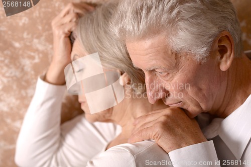 Image of Portrait of an elder couple