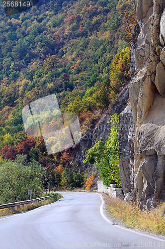 Image of Road in the Fall