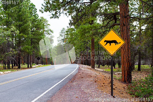 Image of Grand Canyon Road