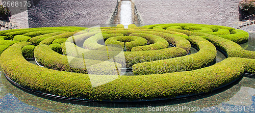 Image of Garden Maze