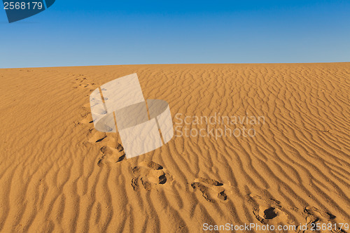 Image of Death Valley Desert