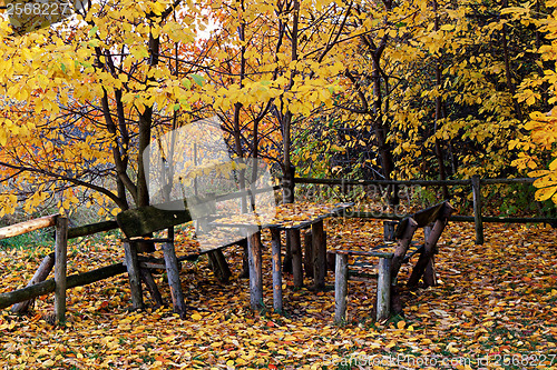 Image of Autumn still life