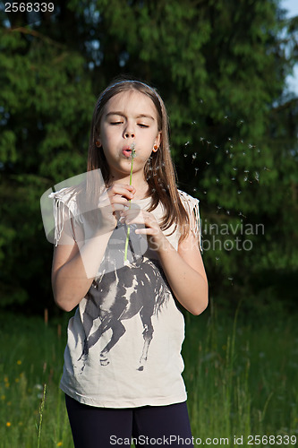 Image of Blowing into dandelion