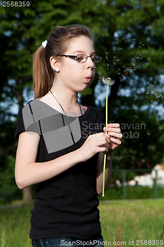 Image of Blowing into dandelion