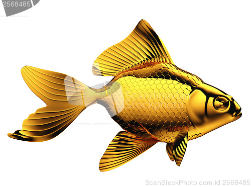 Image of Goldfish with fins and scales isolated