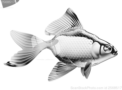 Image of Silver fish with fins and scales isolated