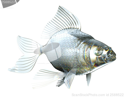 Image of Beautiful semitransparent Glass fish isolated