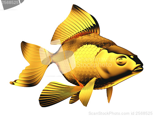 Image of Goldfish with beautiful fins and scales isolated
