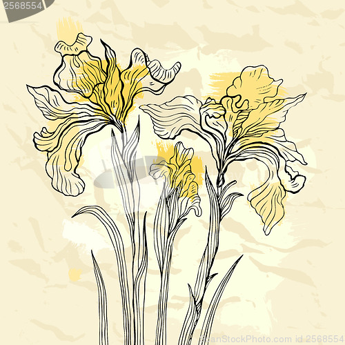 Image of Iris flower vector illustration.