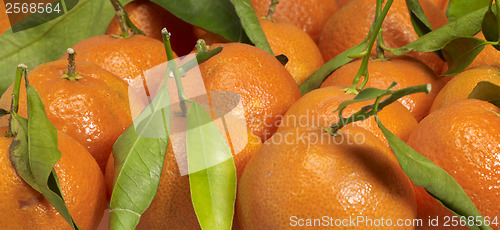 Image of orange fruits