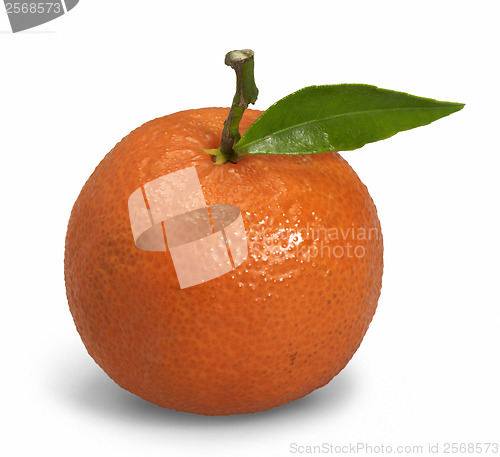 Image of orange fruit with leaf