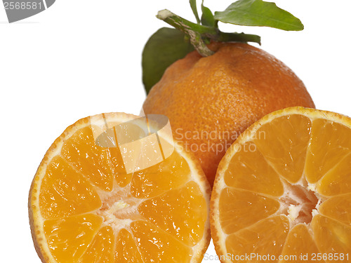 Image of orange fruits