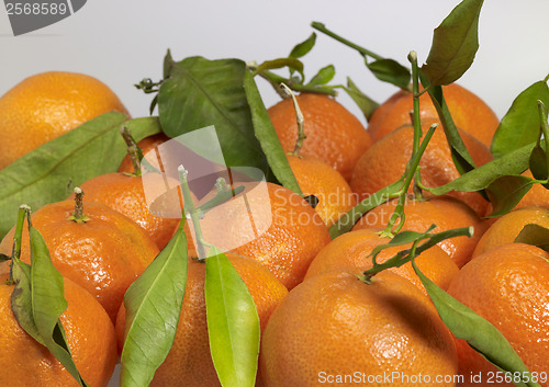 Image of orange fruits