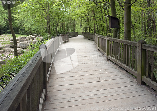 Image of forest scenery with wooden bridge