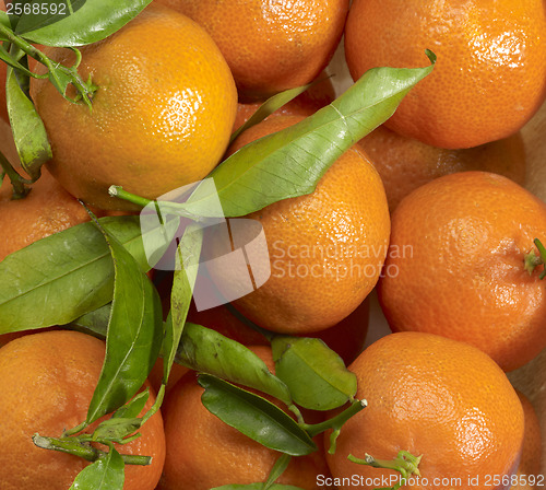 Image of orange fruits