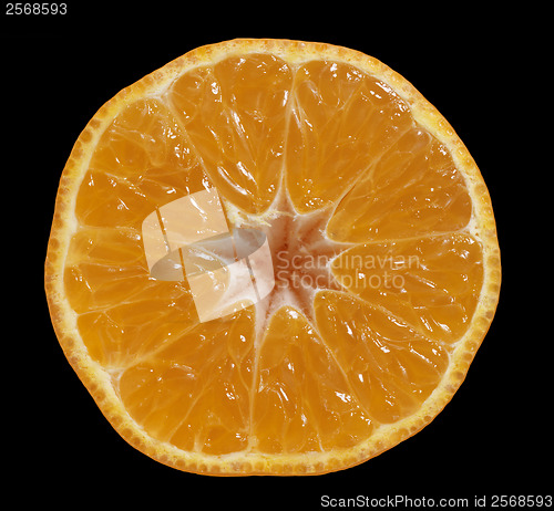 Image of orange fruit