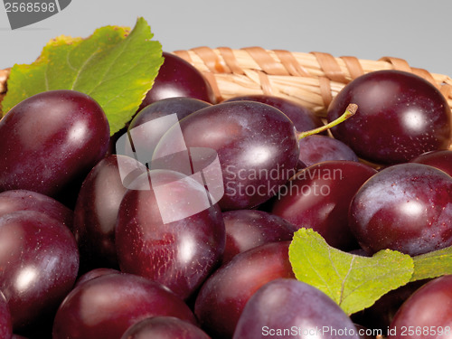 Image of fresh plums