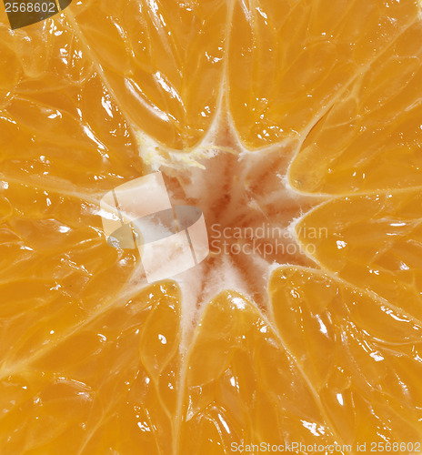 Image of orange fruit detail