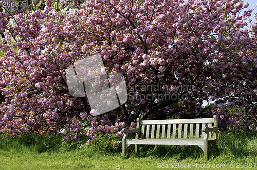 Image of Single empty park bench