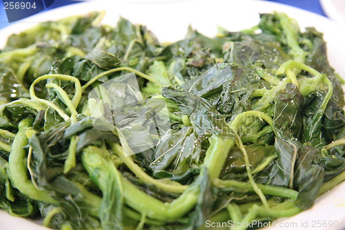 Image of green salad