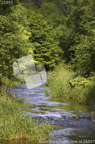 Image of River flowing through tree lined route