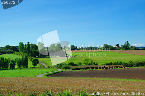 Image of Idyllic Farm Landscape