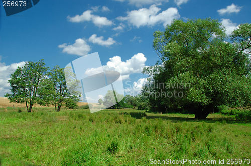 Image of Idyllic landscape