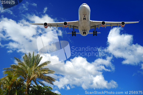 Image of Plane at exotic destination