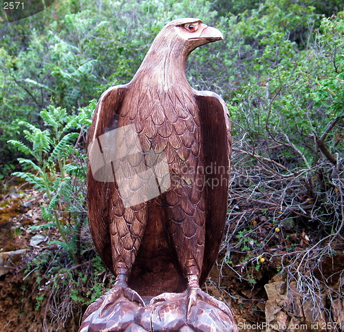 Image of Wooden Hawk