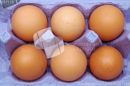 Image of Eggs in a blue carton container