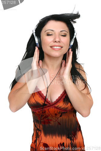 Image of Audiophile Music Lover