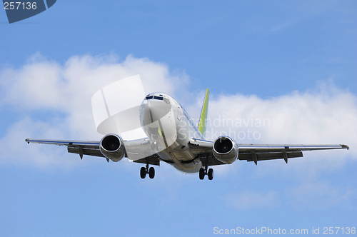 Image of Jet plane going to land