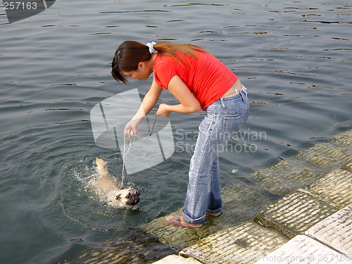 Image of cleaning dog