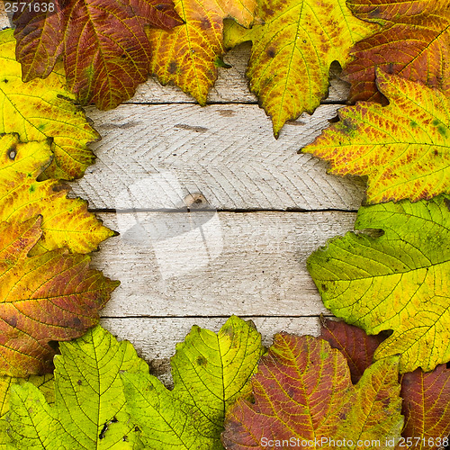 Image of Autumn Period texture of yellow leaves and wood