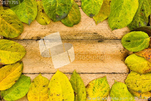 Image of texture autumn Period of yellow leaves and wood