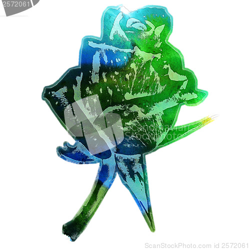 Image of flower green rose watercolor illustration isolated on white back