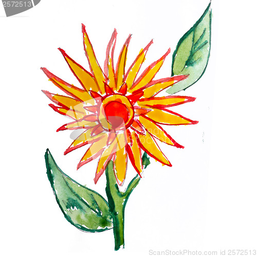 Image of abstract yellow red floral watercolor flower paintings hand isol