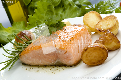 Image of salmon