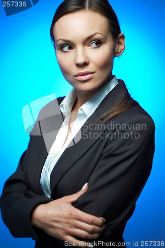 Image of Sexy Business Woman MG