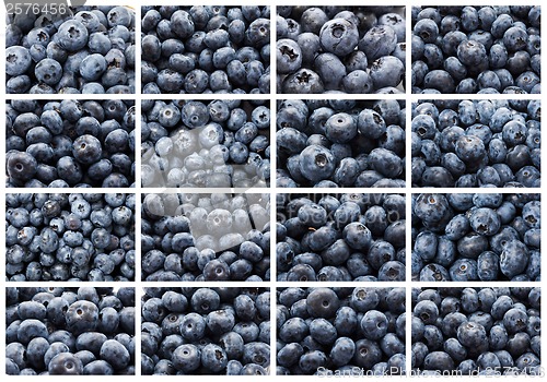 Image of Blueberries