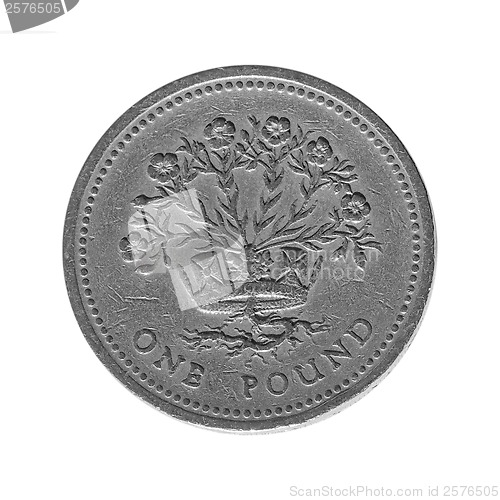 Image of British pound coin