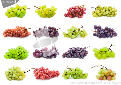 Image of Grapes