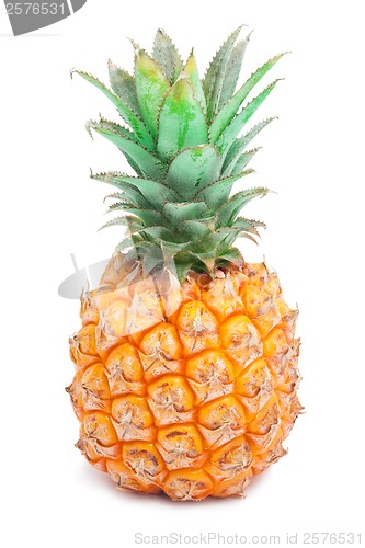 Image of Pineapple