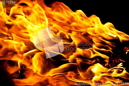 Image of Fire