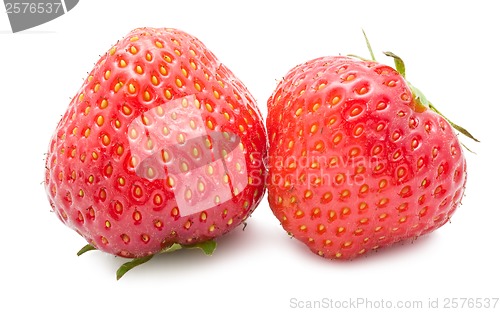 Image of Strawberry