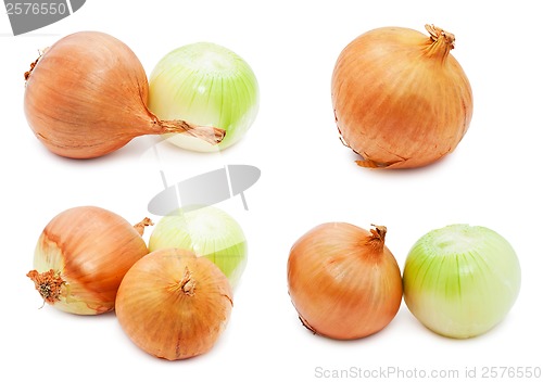 Image of Onion