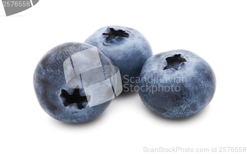 Image of Blueberry