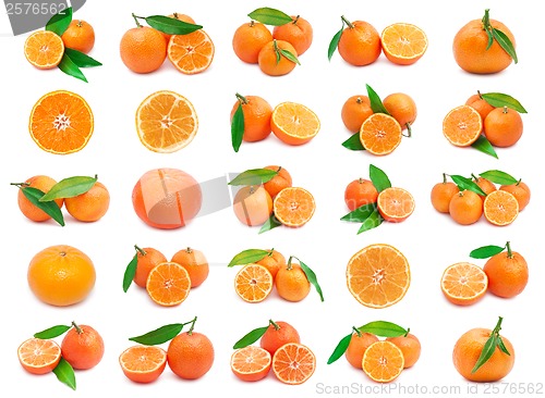 Image of Mandarins