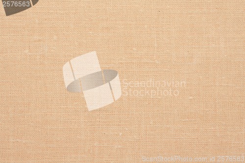 Image of Canvas background