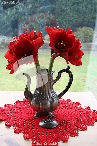 Image of Amaryllis in antique pewter jug